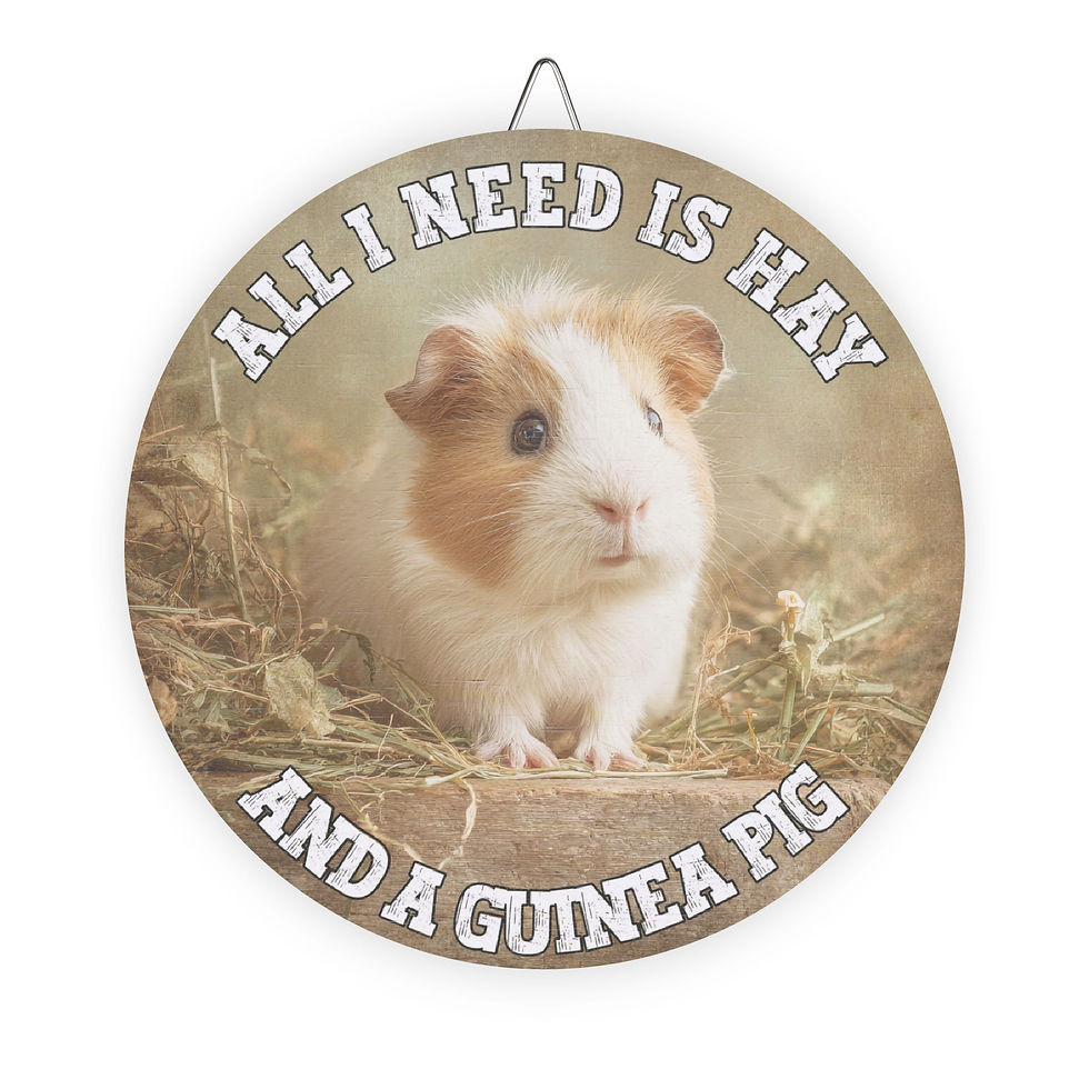 Thumbnail: Guinea Pig Wooden Sign •“All I Need is Hay and a Guinea Pig”• Rustic Wall Décor 