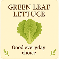 Green Leaf Lettuce