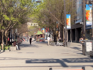 News Source vs. Web Magazine: What’s the Difference?