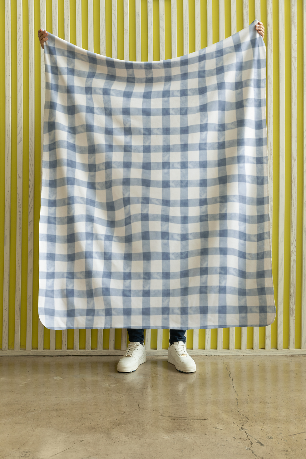 Thumbnail: Guinea Pig Blanket  Double-Sided French Toile Blue Plaid - Velveteen Microfiber 