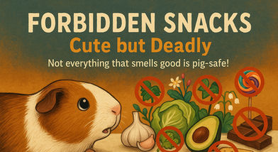 Forbidden Snacks, Cute but deadly. Not everything that smells good is guinea pig safe.