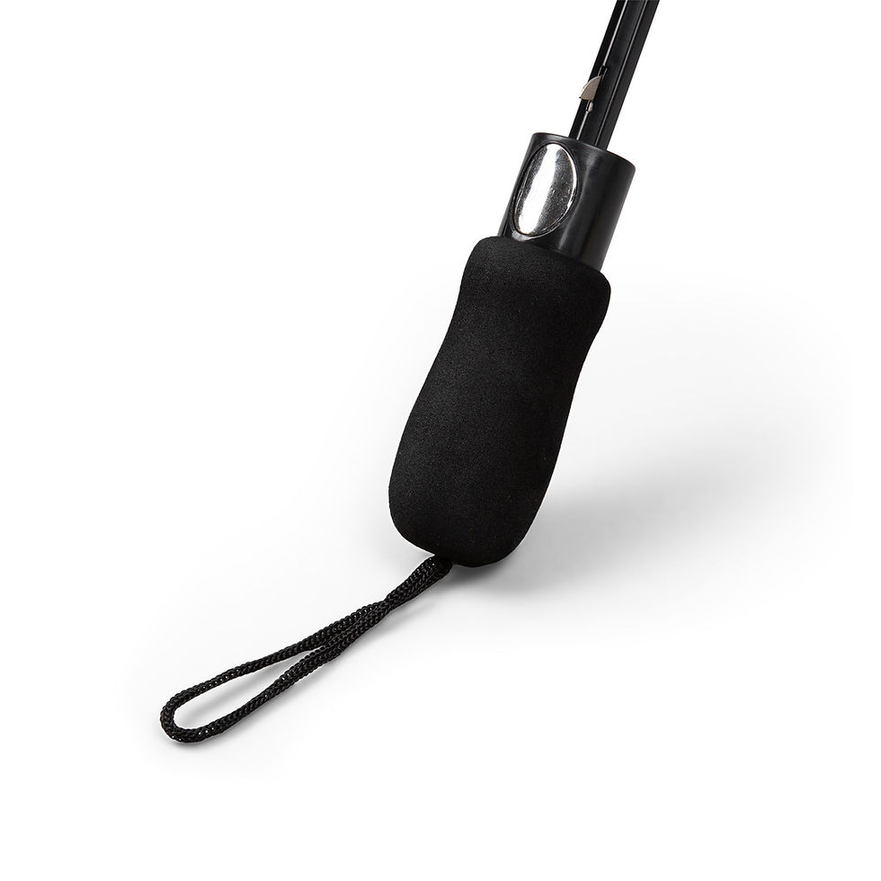 Thumbnail: Puddle Hoppers – Guinea Pig Umbrella for Rainy Day Jo