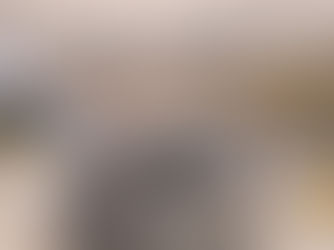 A guinea pig is resting in his home.