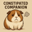 Thumbnail: 💨 Constipated Companion – Original MP3 Download (2:54)