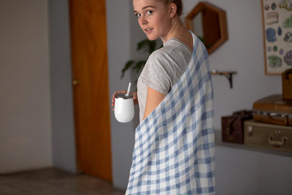 Thumbnail: Guinea Pig Blanket  Double-Sided French Toile Blue Plaid - Velveteen Microfiber 