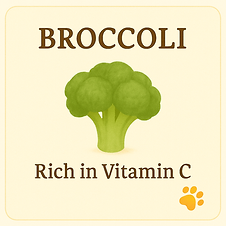 Broccoli