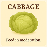 Cabbage