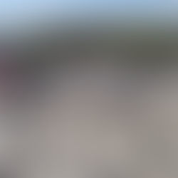 Всемирный день без автомобиля отметят в «Лужниках»