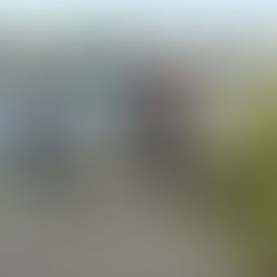 Тренировка секции «спортивная гостиная»