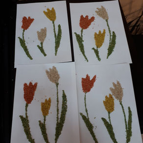 Студия Всезнайки