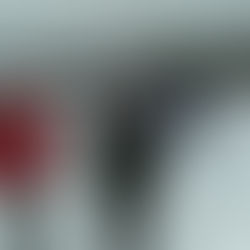 Скандинавская ходьба на набережной Кожуховского затона.