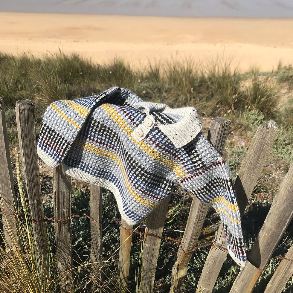 Miniature : Polo LEO