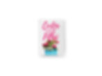 Miniatura: KIT da Aluna (1) - Material exclusivo para alunas da Mentoria Transformadas