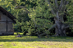 A megújult füzérradványi park