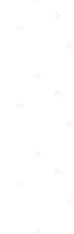 青森県東津軽郡 佐藤造花仏壇店 葬儀