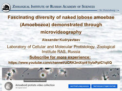 Alexander Kudryavtsev 14WF13