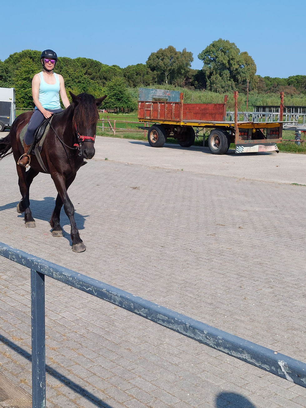Thumbnail: Ride horses 🐎 on the beach and forest 