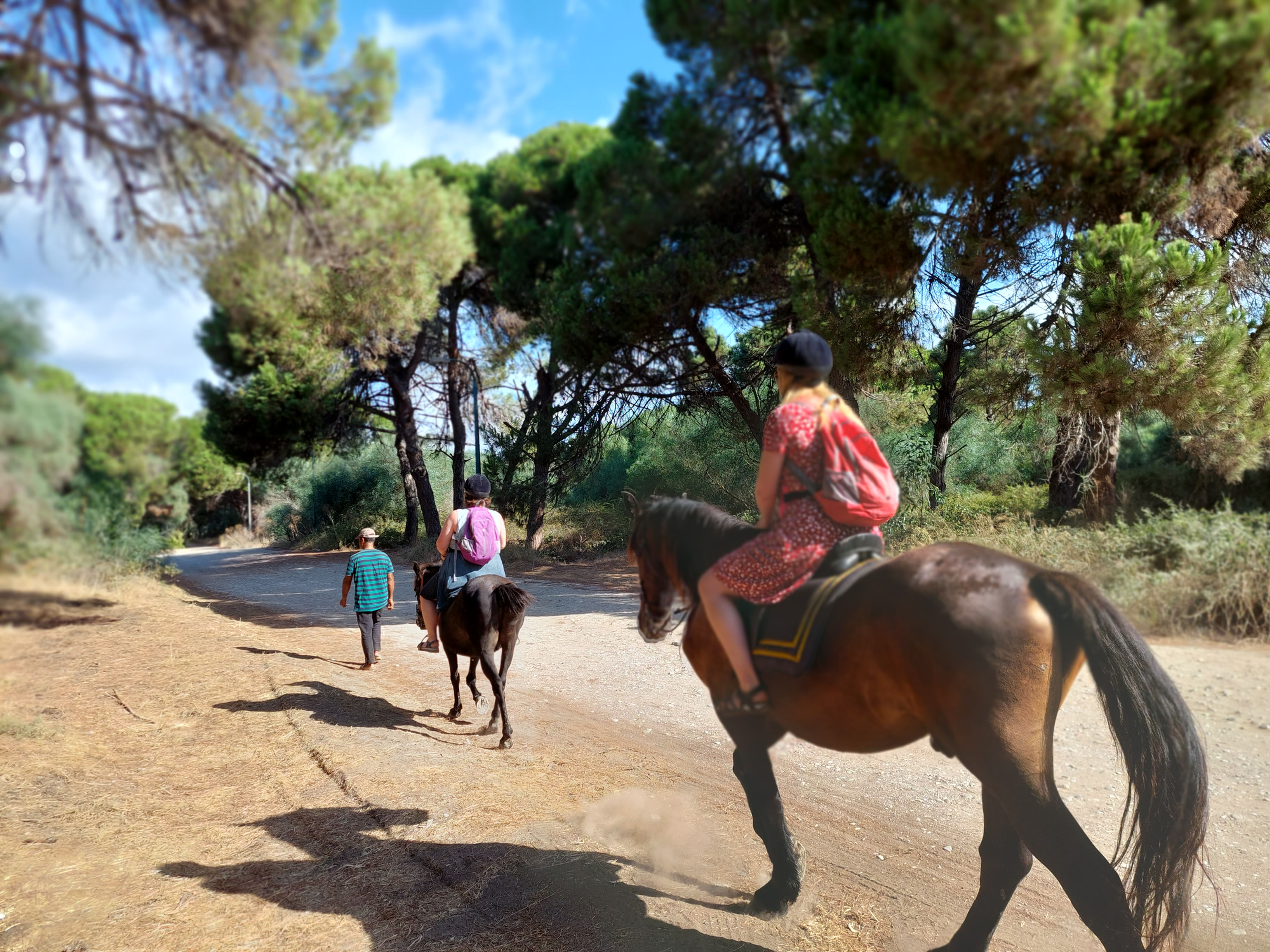Riding horses on the beach and forest