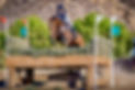 GIF521AH-09354-Edit-2-2.jpg