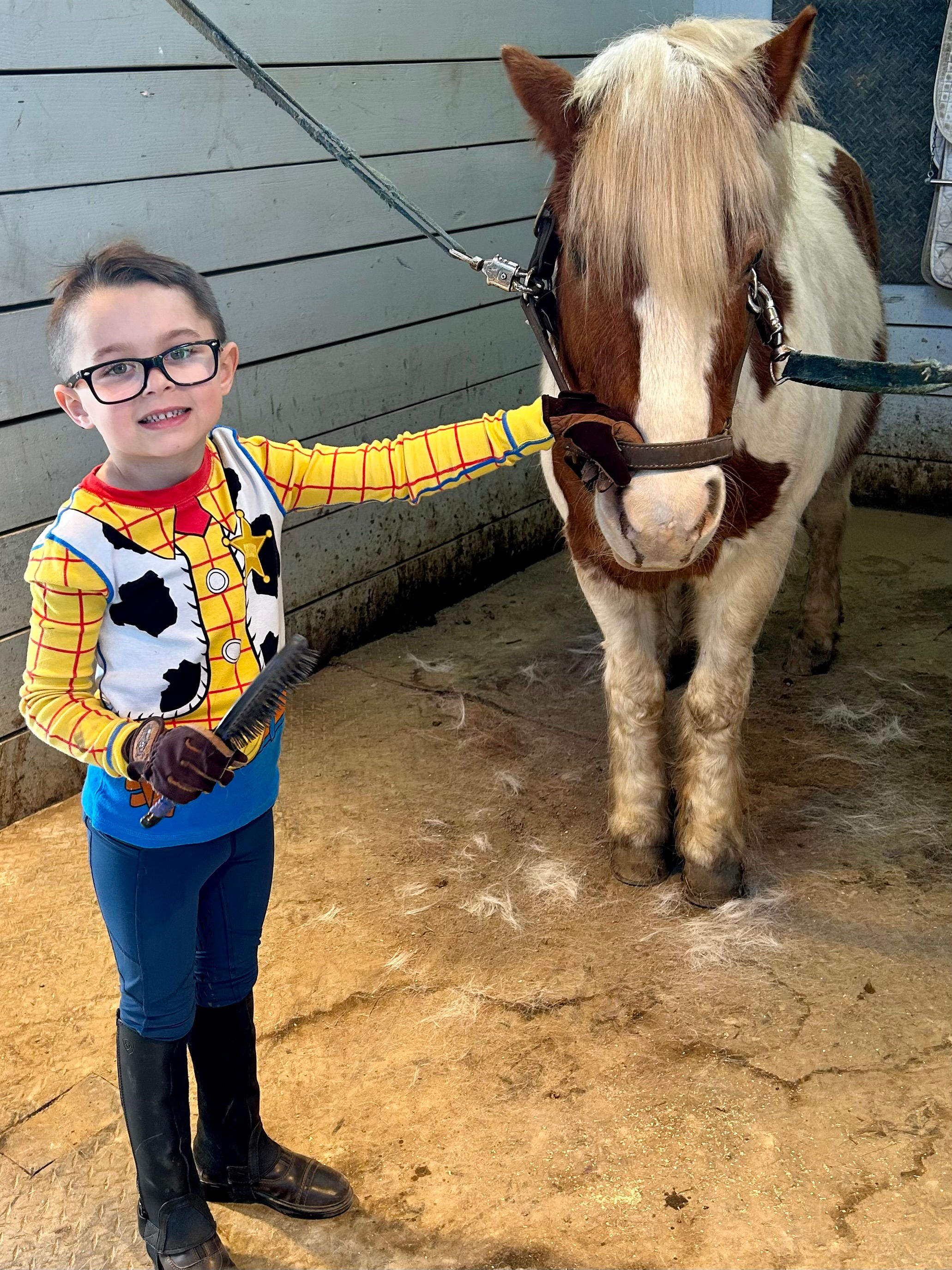 1 LESSON ON A SCHOOL HORSE