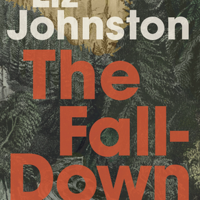 The Fall-Down Effect by Liz Johnston and reviewed by Ken Wilson