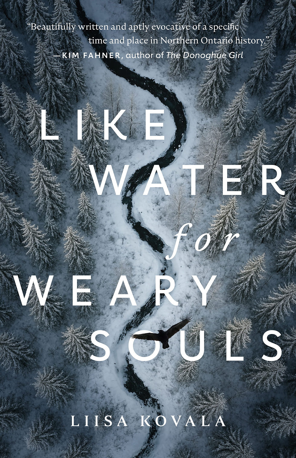 The cover of Like Water for Weary Souls, by Liisa Kovala