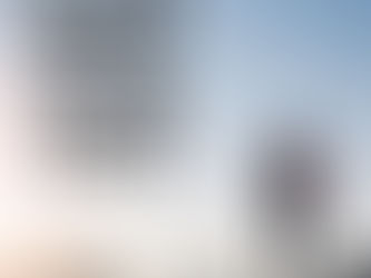 SEE THINGS AS YOU WOULD HAVE THEM BE