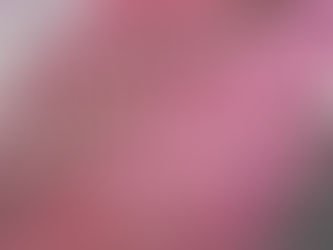 NO AUTHORITY IS HIGHER THAN REALITY.