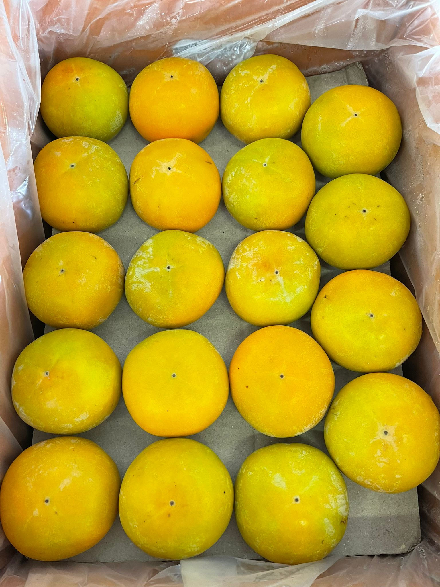 Korea Sweet Persimmon 2kg