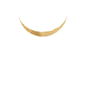 Moon (1).png