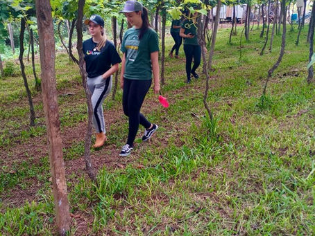 Jovem Aprendiz do Campo - Cooperativa Coasa