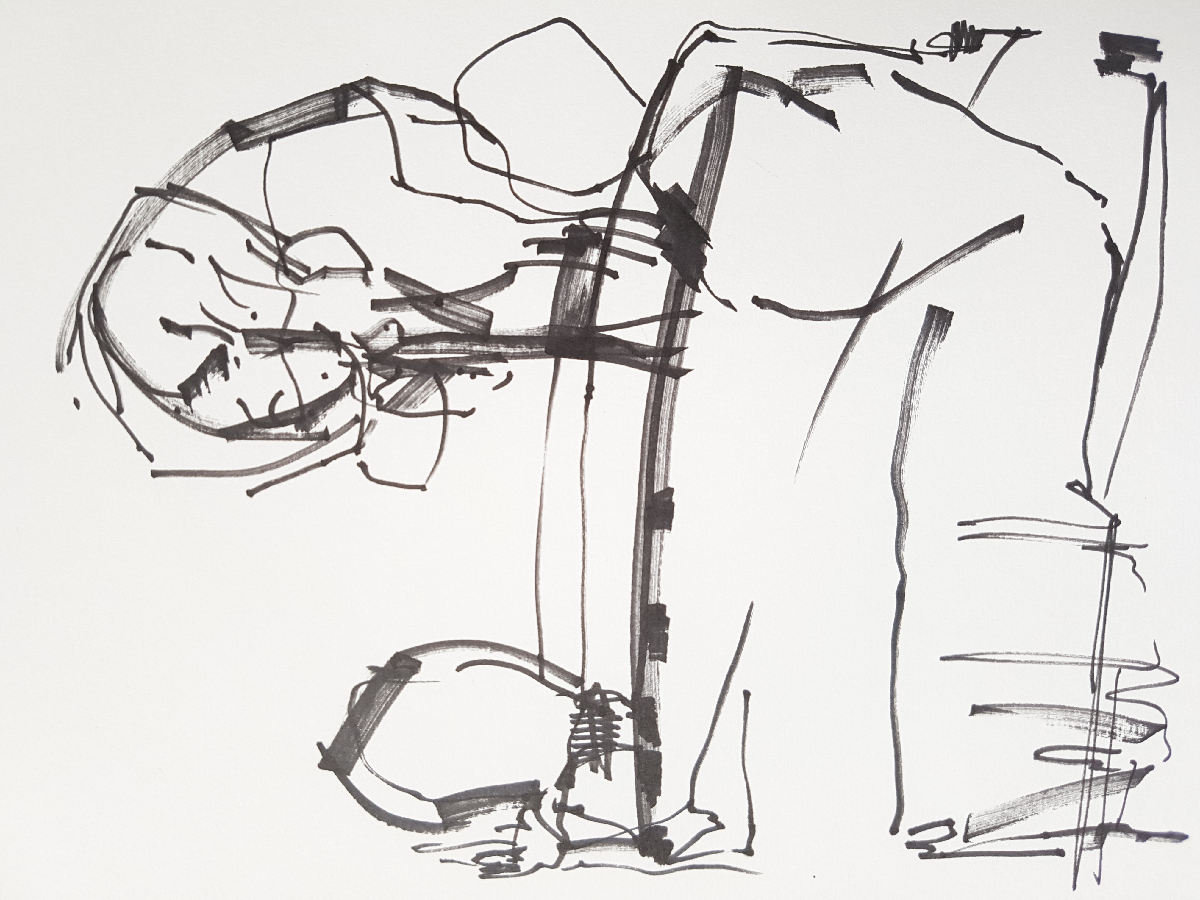 'Playford 2'