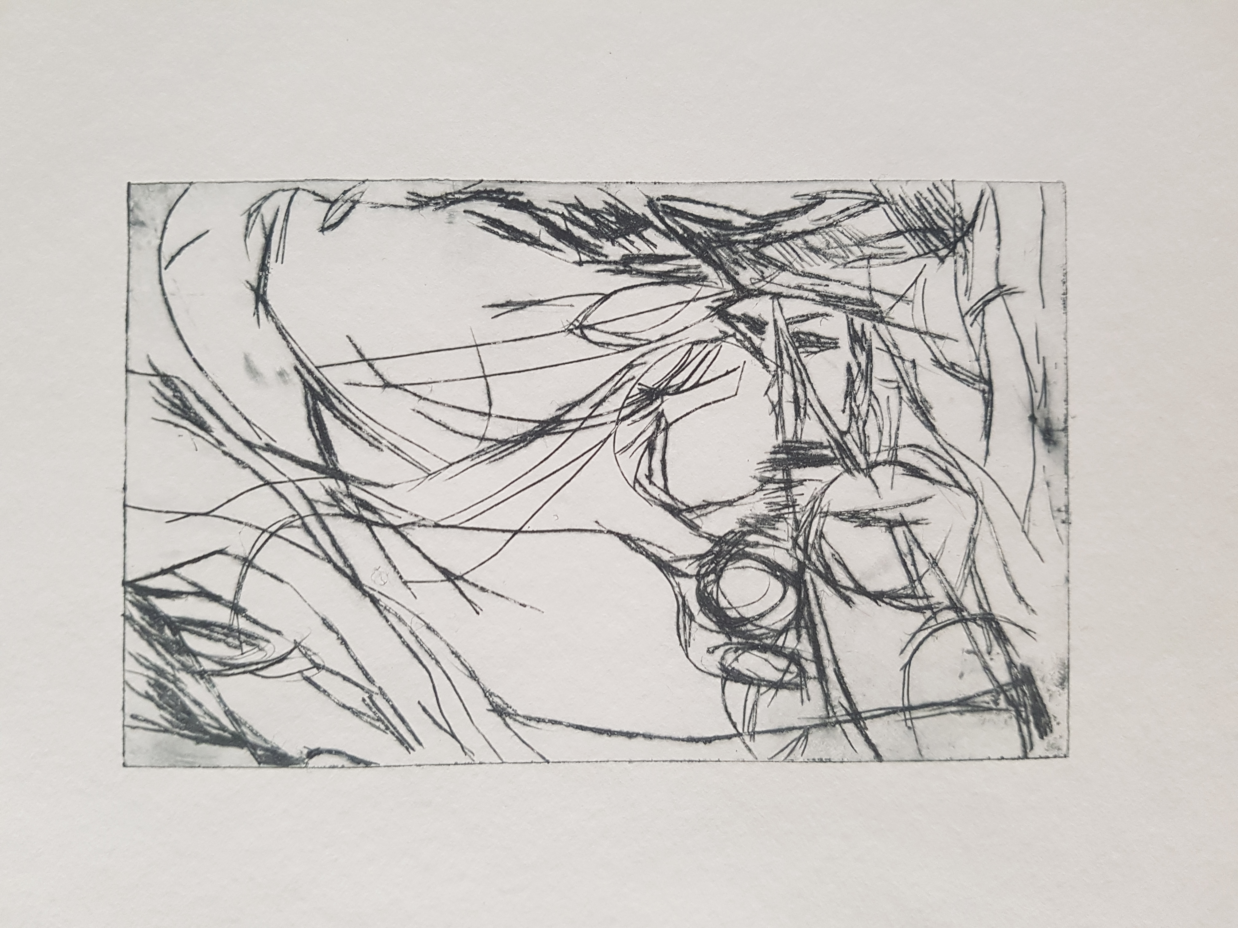 Drypoint etching of Landscape