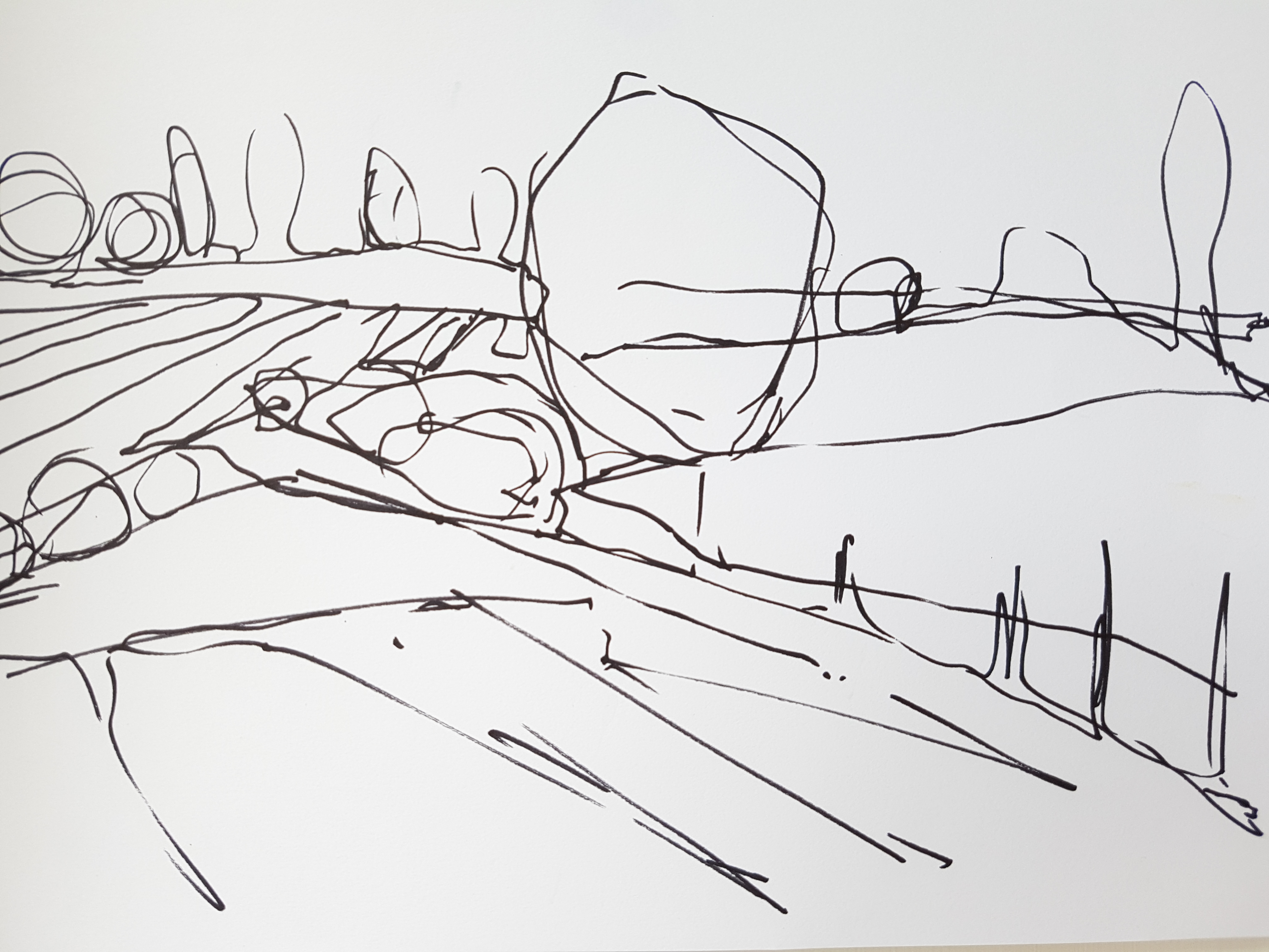 'Fields'