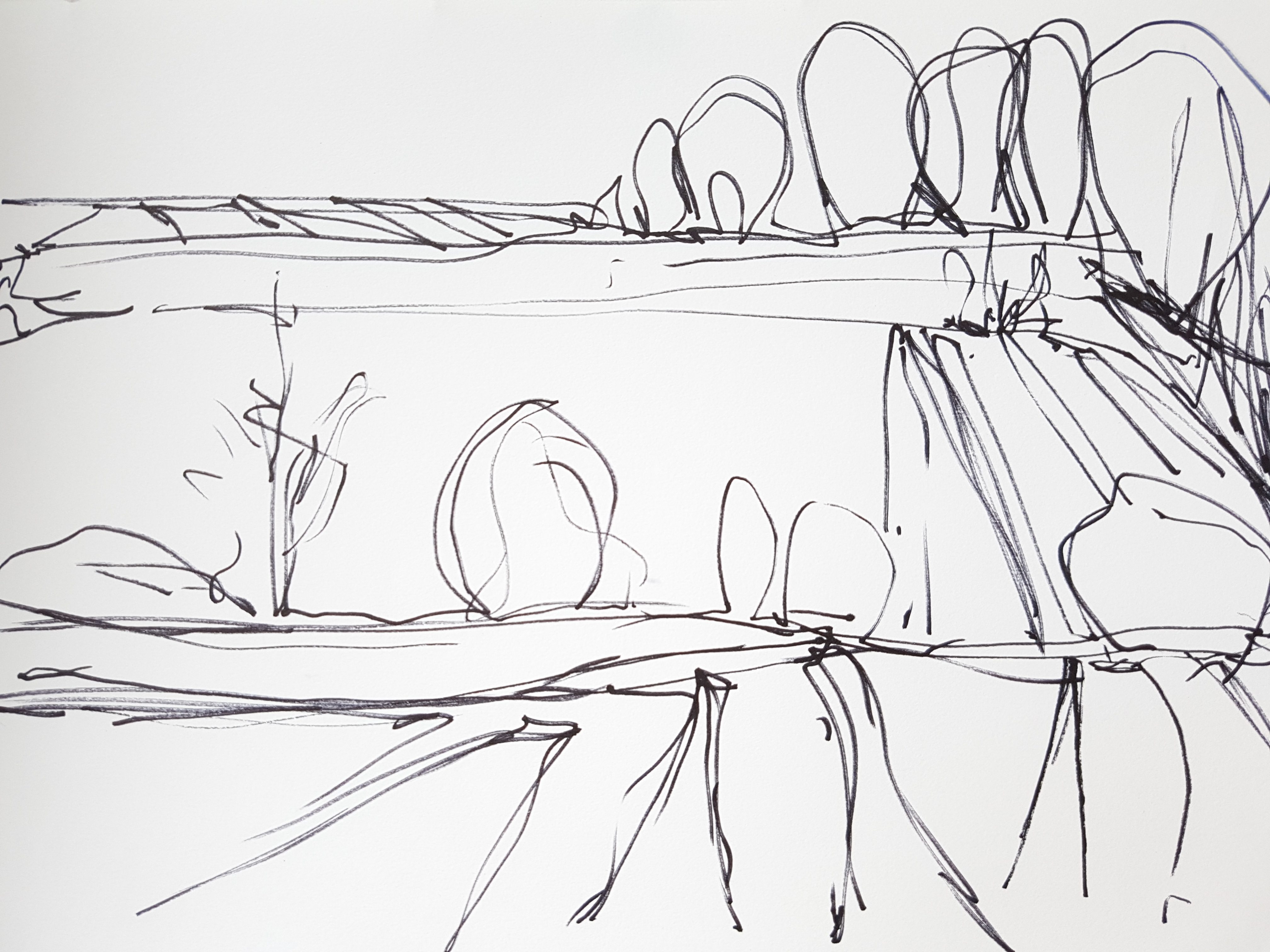 'Newbourne Fields'
