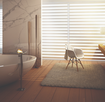 vision/day and night/ zebra blind white