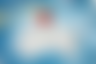 States and territories agree to develop plan for Christmas reopening