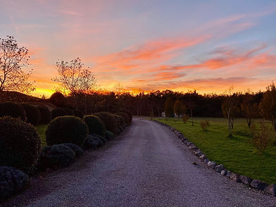 coucher de soleil.jpeg