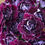 Thumbnail: COLUMBIAN CARNATIONS in Red Wine