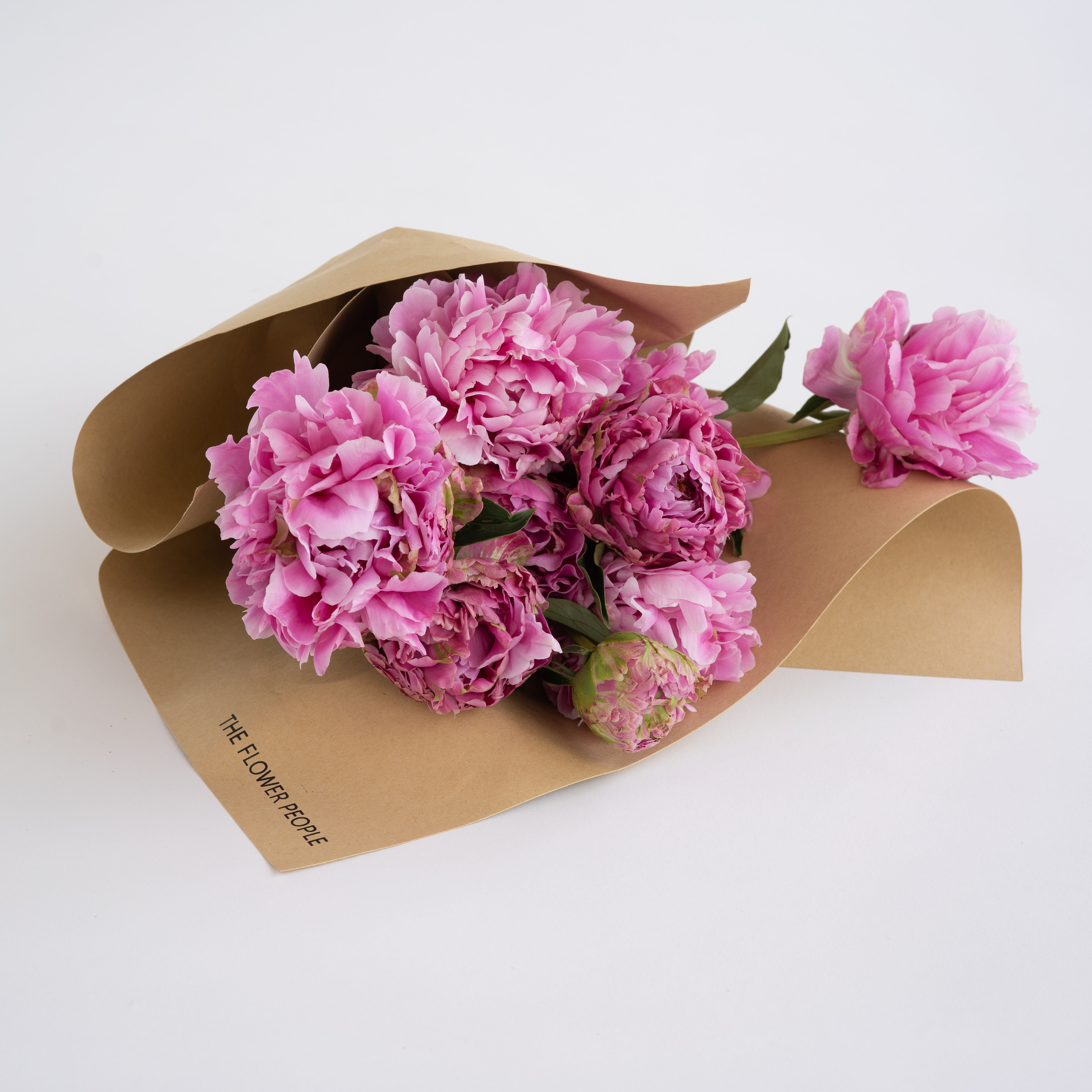 PEONY Pink Chinoise