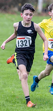 Writtle-24.jpg