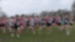 Essex Cross Country Championships
