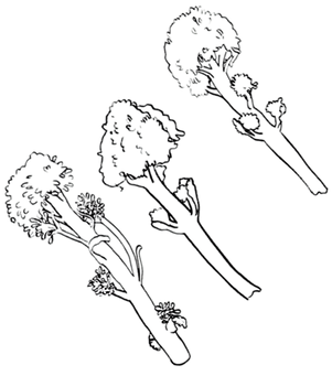 3_edited.png