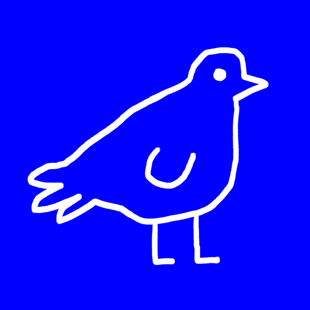 drunk-pigeon.gif
