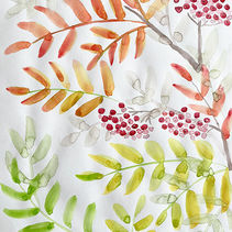 【趣味とイベント】祭りのあと、季節が変わる。