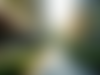 Innovative Architectural Designs Showcased on Bronzeville Inc's Portfolio