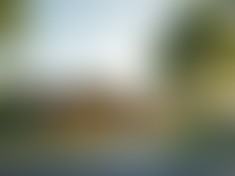 Bronzeville Inc: Inspiring Architectural Projects Highlighted for Potential Clients