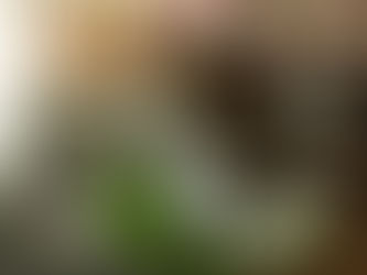 What Actually Happens in IOP? A Week-by-Week Guide to Intensive Outpatient Treatment in Austin