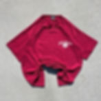 Front of a stylized red Bok Fu Do shirt.