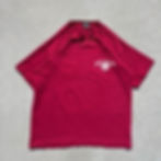 Front of a red Bok Fu Do shirt.